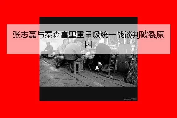 zhang-zhi-lei-yu-tai-sen-fu-li-zhong-liang-ji-tong-yi-zhan-tan-pan-po-lie-yuan-yin-1-851.jpg